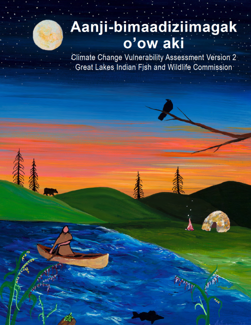 cover of vulnerability assessment