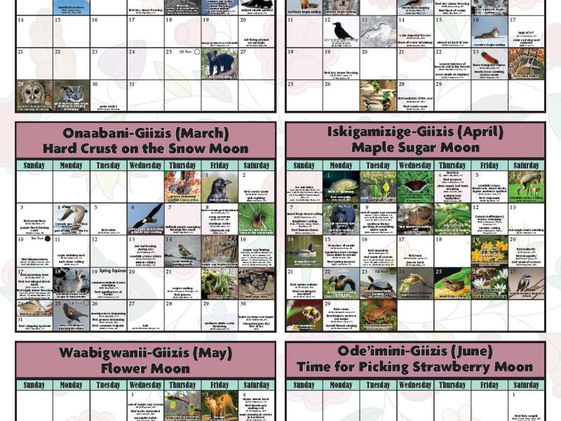 2024 Phenology Calendar