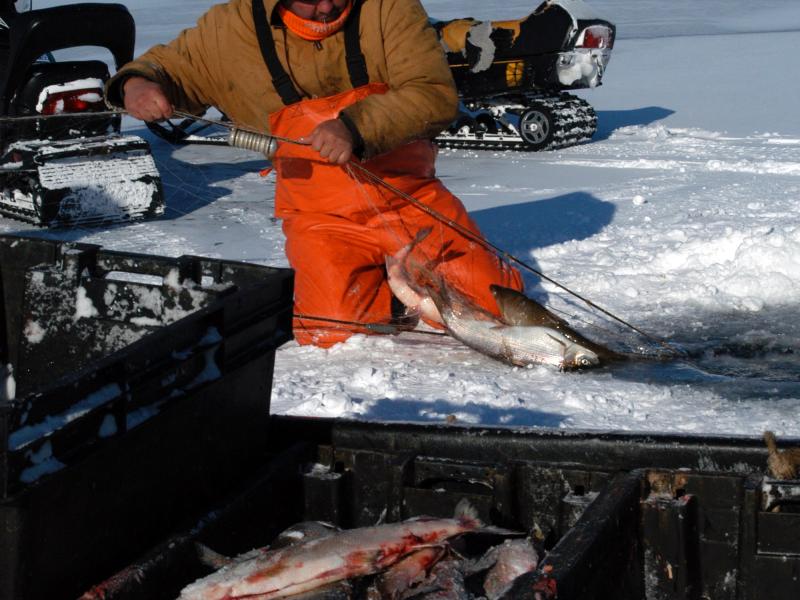 ice fishing climate change