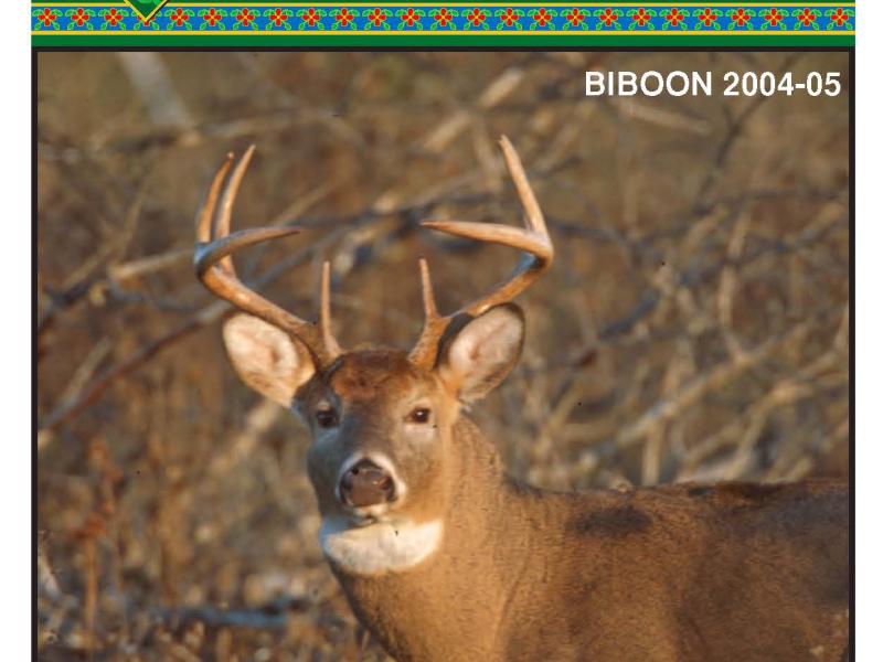 2004 Biboon (Winter) Mazina'igan Cover