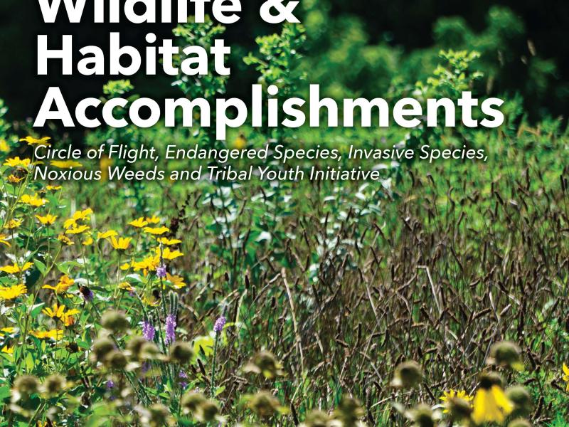 Accomplishments