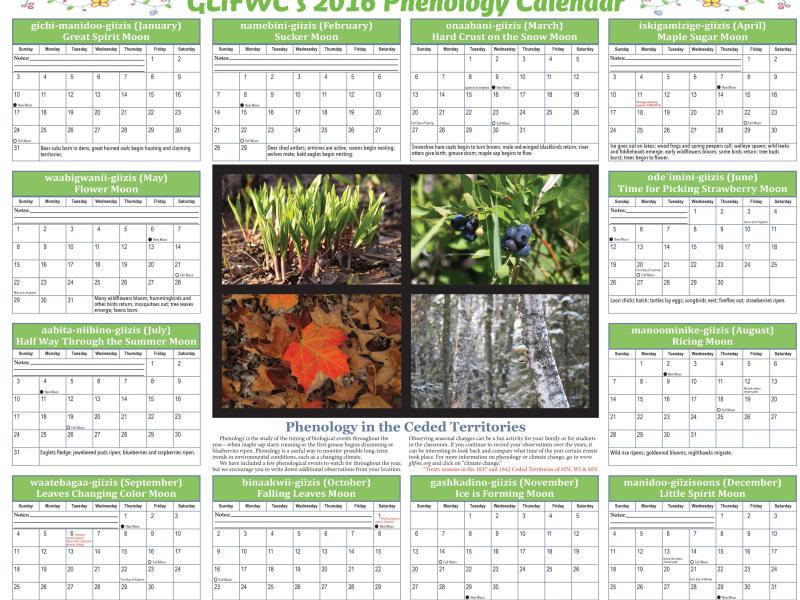 2016 Phenology Calendar Cover