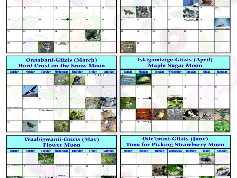 2018 Phenology Calendar Cover