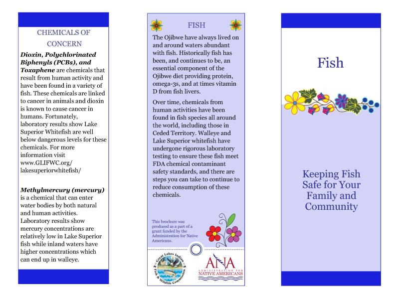 Fish brochure page 1