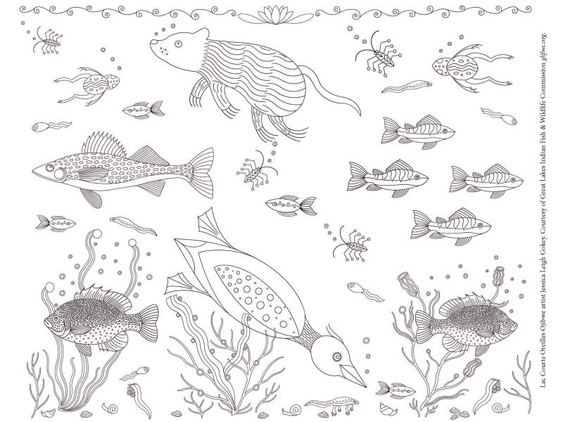mino-wiiji'idiwin coloring page