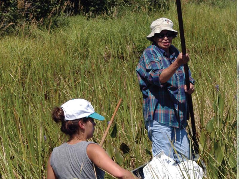 Wild Rice brochure