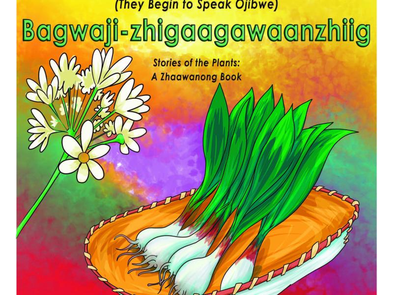 Bagwaji-zhigaagawaanzhiig