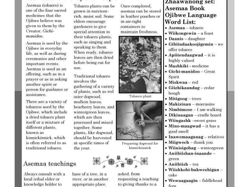 Plants pg 1