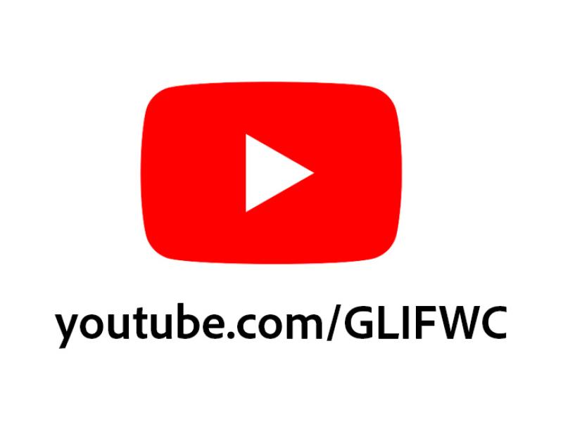 Youtube Logo