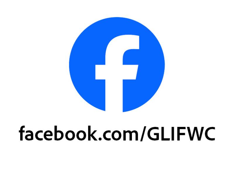 Facebook Logo