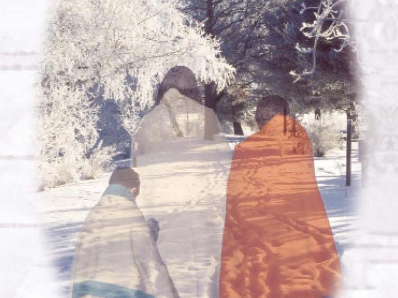 Sandy Lake brochure