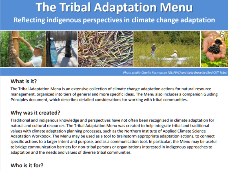 Tribal Adaptation Flyer SS