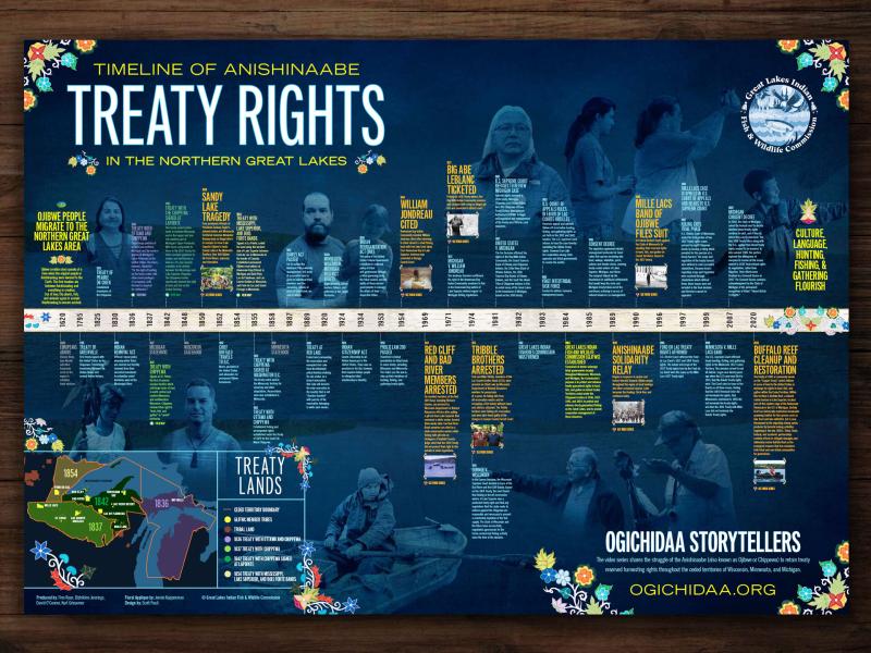 Treaty Timeline Poster