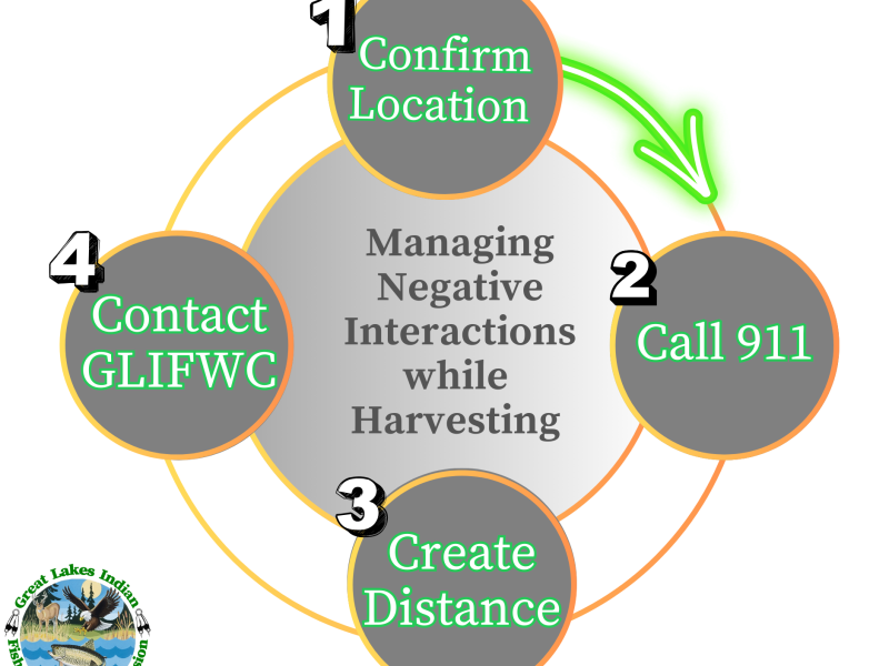 4Cs graphic