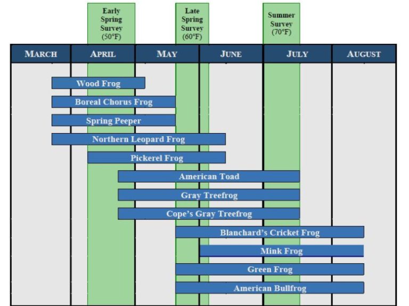 frog_toad schedule graph