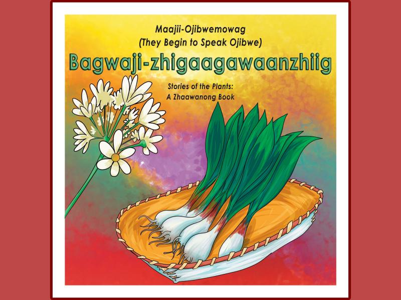 Bagwaji-zhigaagawaanzhiig book cover