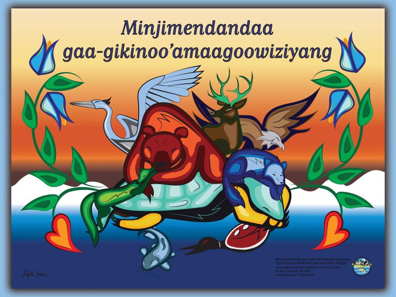 Minjimendandaa gaa-gikinoo'amaagoowiziyang poster image