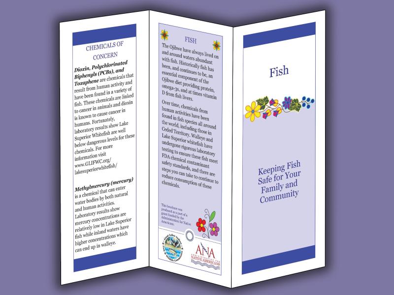 Fish brochure image