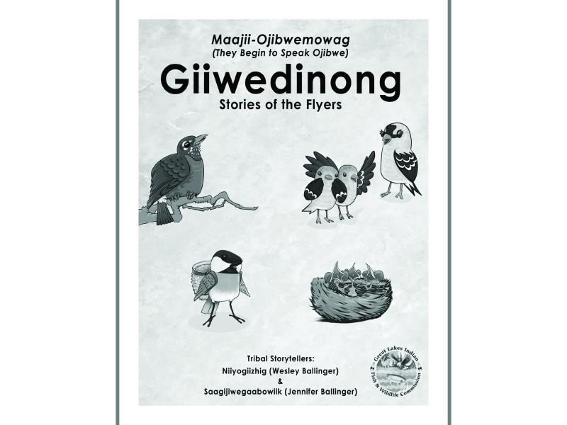 Giiwedinong coloring book cover