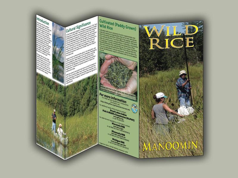 Manoomin brochure image