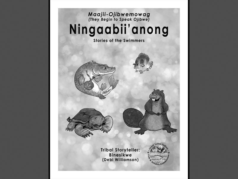 Ningaabii'anong coloring book cover