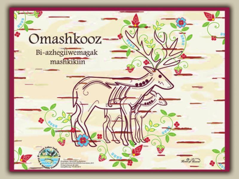 Omashkooz poster image