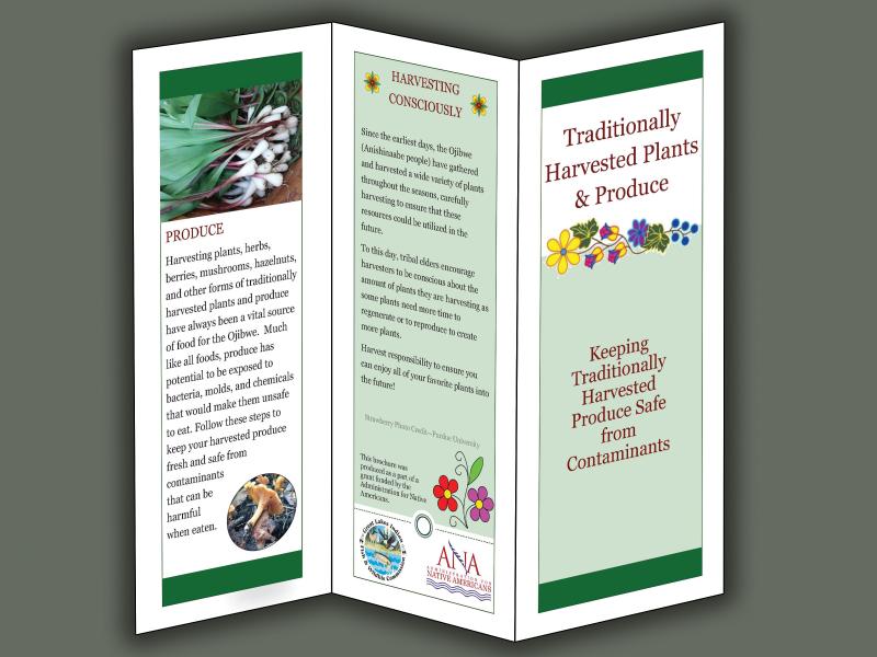 produce brochure image