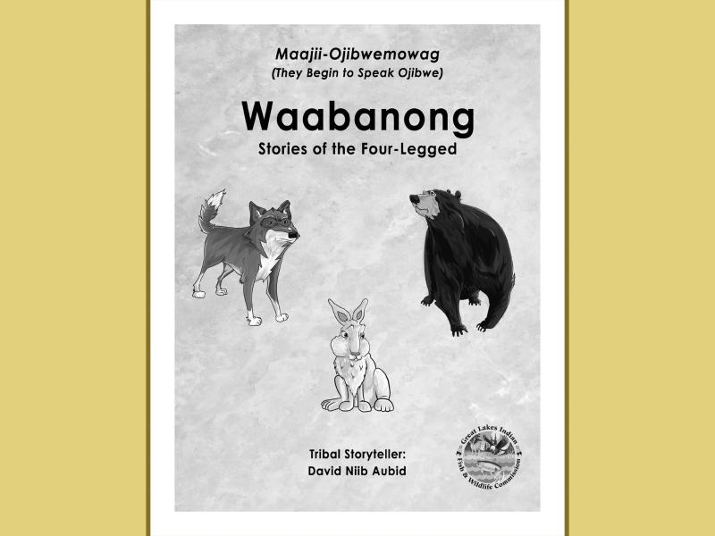 Waabanong Coloring Book cover