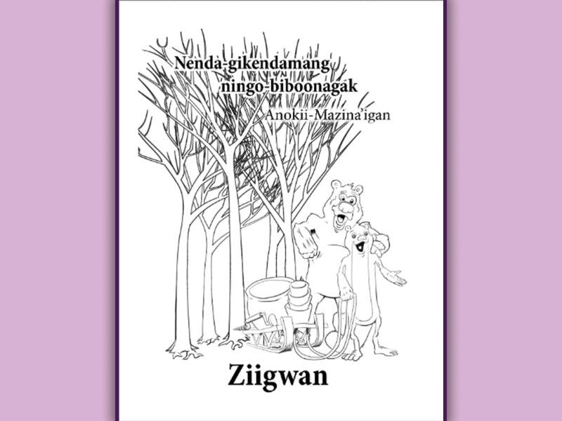 Ziigwan Workbook cover