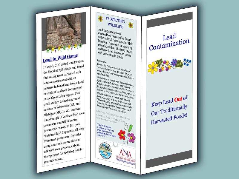 lead brochure image