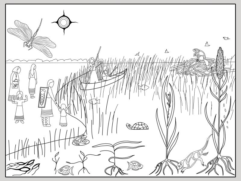 Manoomin poster coloring page image