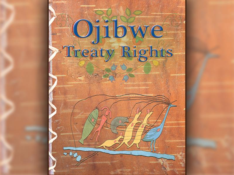 Treaty Book cover