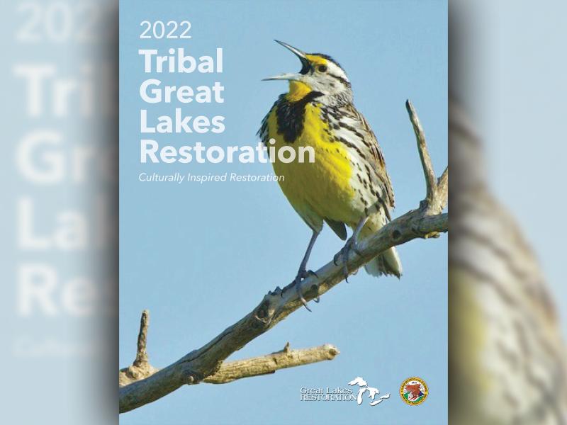 Restoration book cover