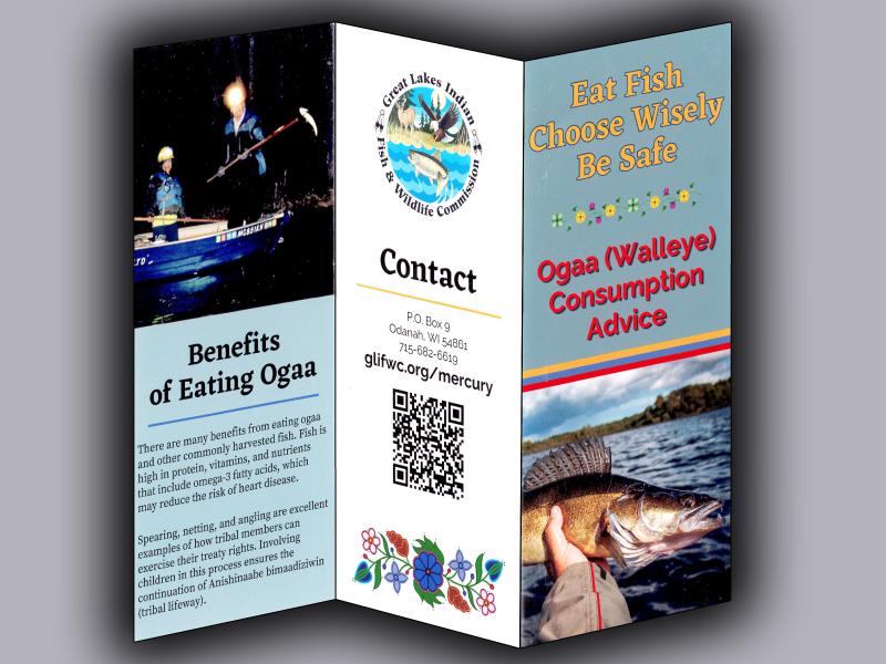 Ogaa Brochure image