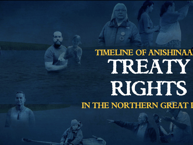 timeline poster thumbnail