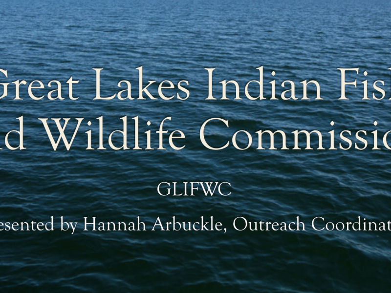 Presentation thumbnail