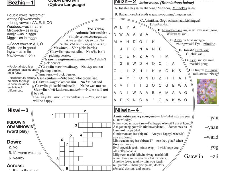 Summer 2020 Language Page