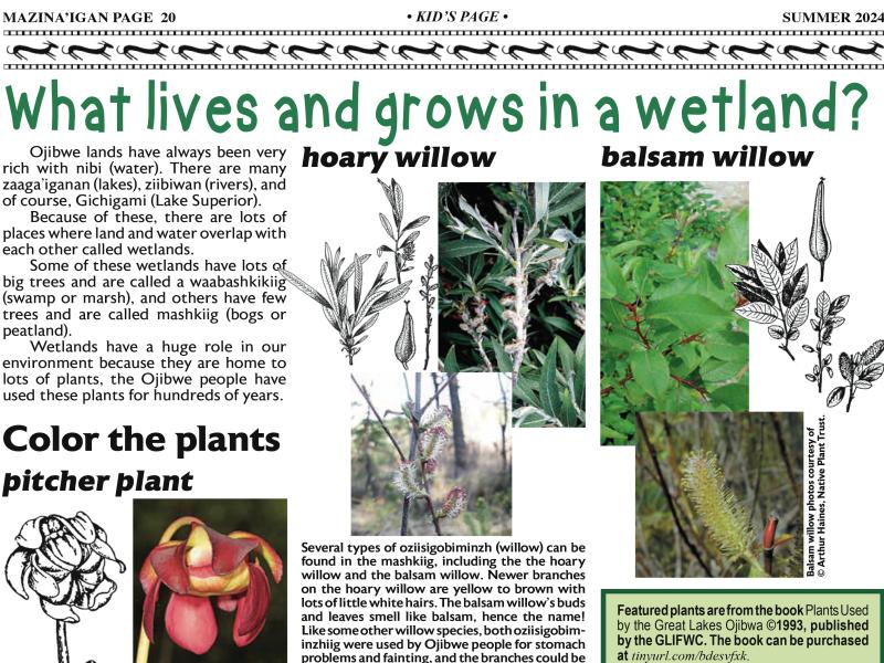 Summer 2024 Kid_s Page