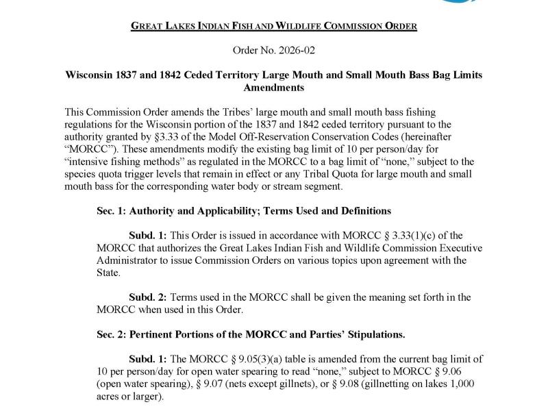 thumbnail, co 2026-02