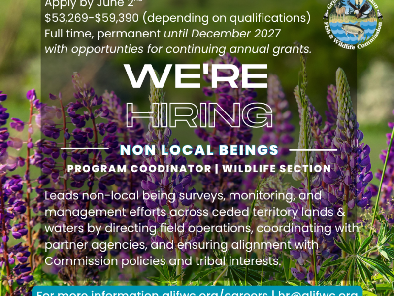 Non Local beings graphic