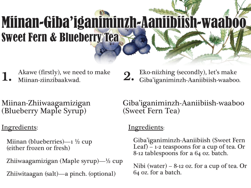 Sweet Fern and Blueberry tea thumbnail image
