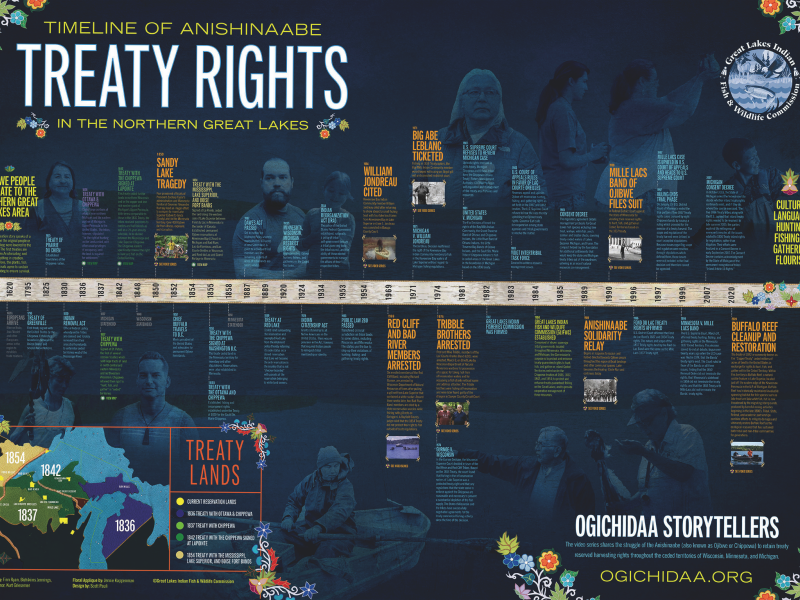 timeline poster