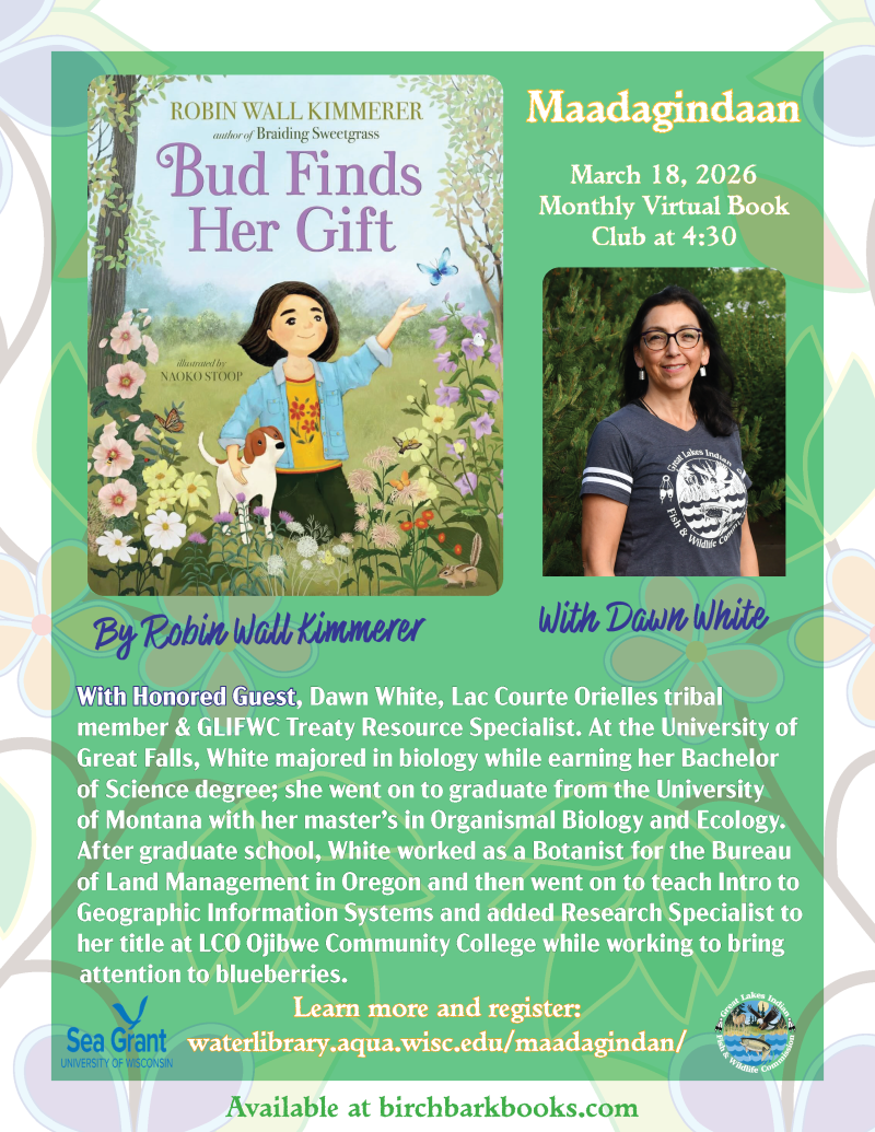 dawn book flyer