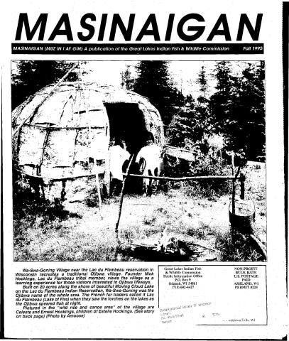 1995 Dagwaagin (Fall) Mazina'igan Cover
