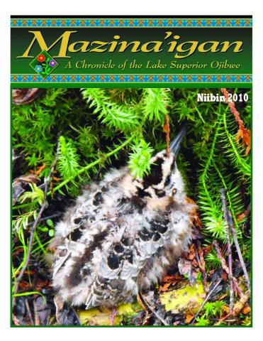2010 Ziigwan/Niibin (Spring/Summer) Mazina'igan Cover