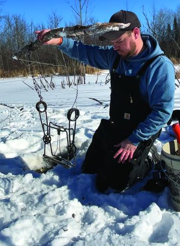 Body grip beaver trap