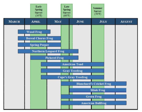 frog_toad schedule graph