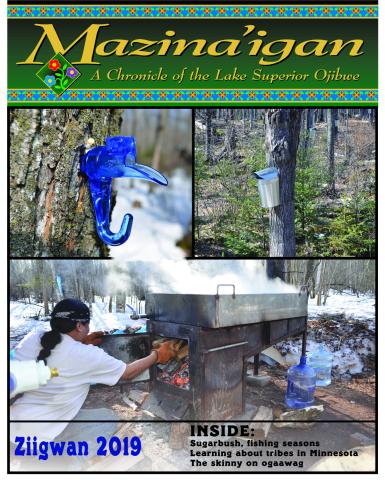 2019 Ziigwan cover