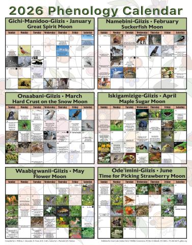image of page 1 from 2026 phenology calendar