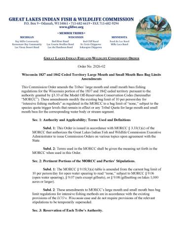 thumbnail, co 2026-02